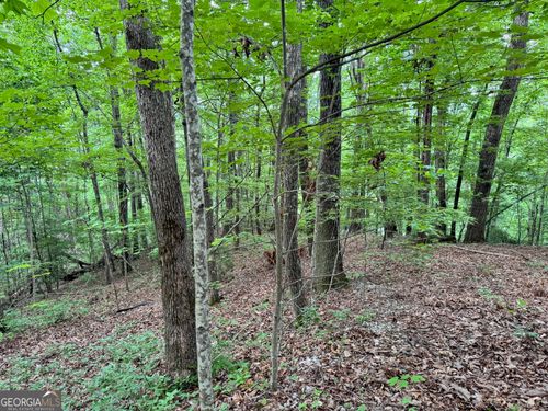 0 Black Bear Den Rd, Clayton, GA, 30525 | Card Image