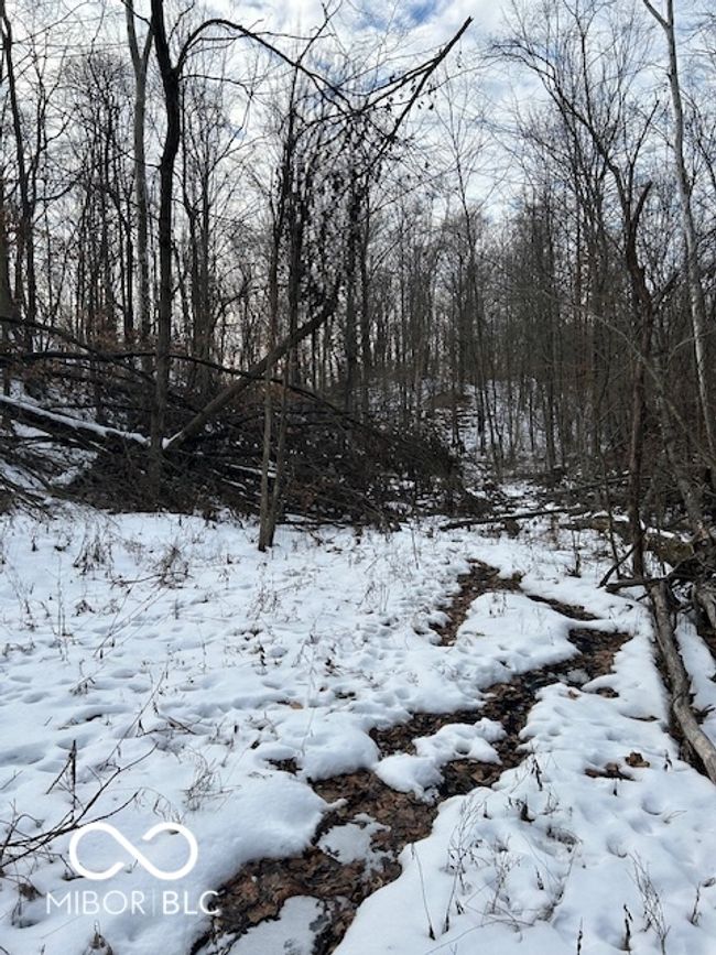 Logging Road Through Property | Image 12
