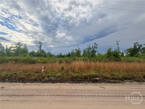 0 Riggs Lane, Claxton, GA, 30417 | Card Image