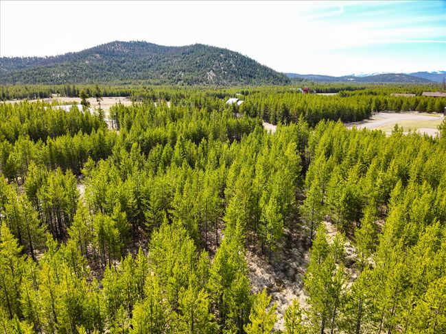 135 Wright Way, Home with 0 bedrooms, 0 bathrooms and null parking in Marion MT | Image 17