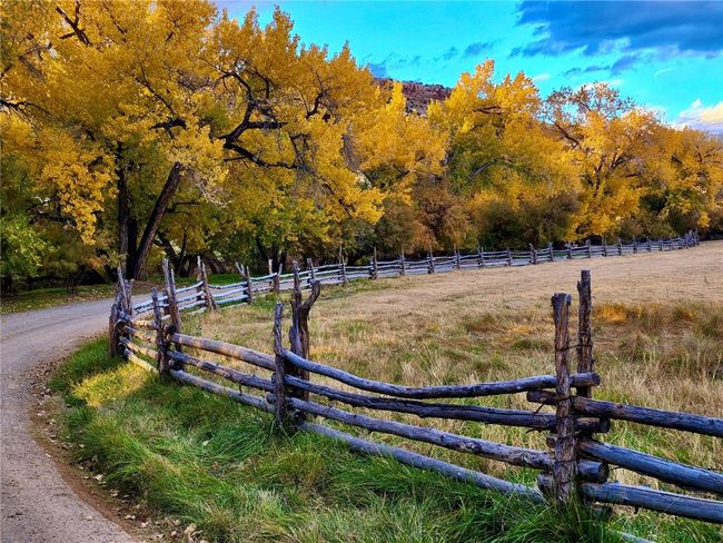 View of property's community featuring fence and a view of trees | Image 27