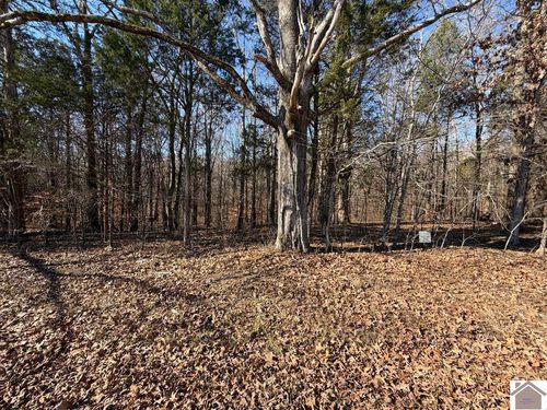 Lot 46 Bayridge Rd, New Concord, KY, 42076 | Card Image