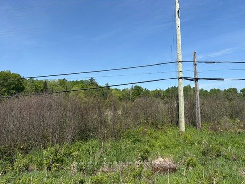 0 Allensville Rd, Utterson, ON, P0B1M0 | Card Image