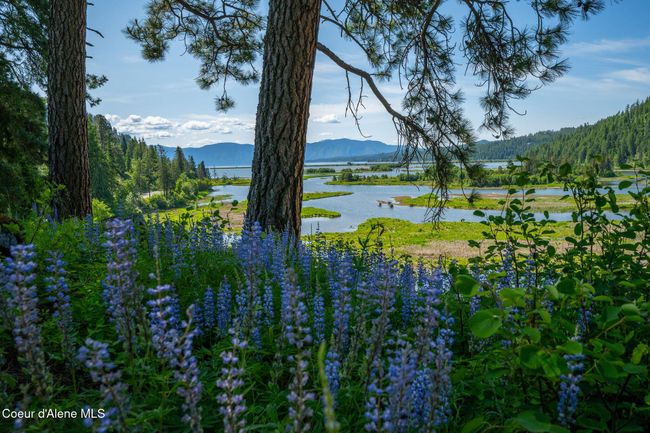 238 Black Sheep Rd, Home with 0 bedrooms, 0 bathrooms and null parking in Hope ID | Image 10
