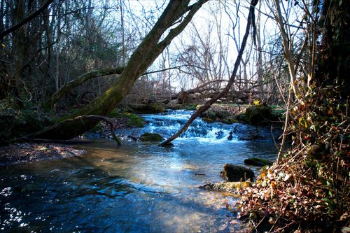 0 Rheatown Rd, Chuckey, TN, 37641 | Card Image