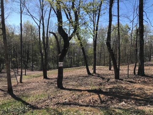 15 Piney View Dr, Spring City, TN, 37381 | Card Image