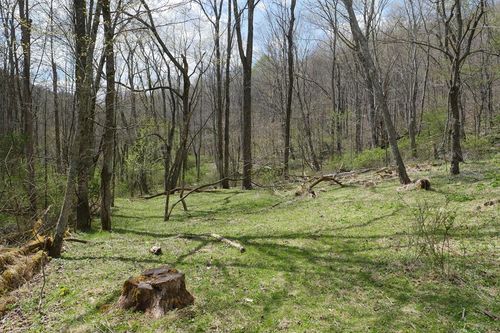TBD Unity Road, Bluefield, VA, 24605 | Card Image