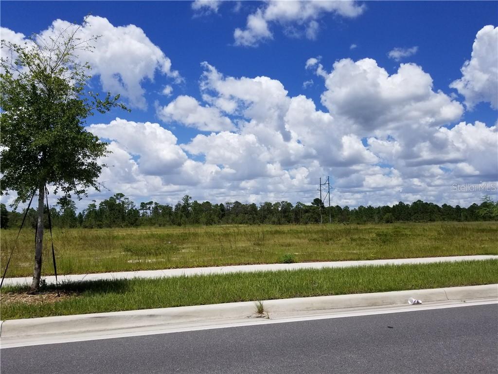Land in ORLANDO 4