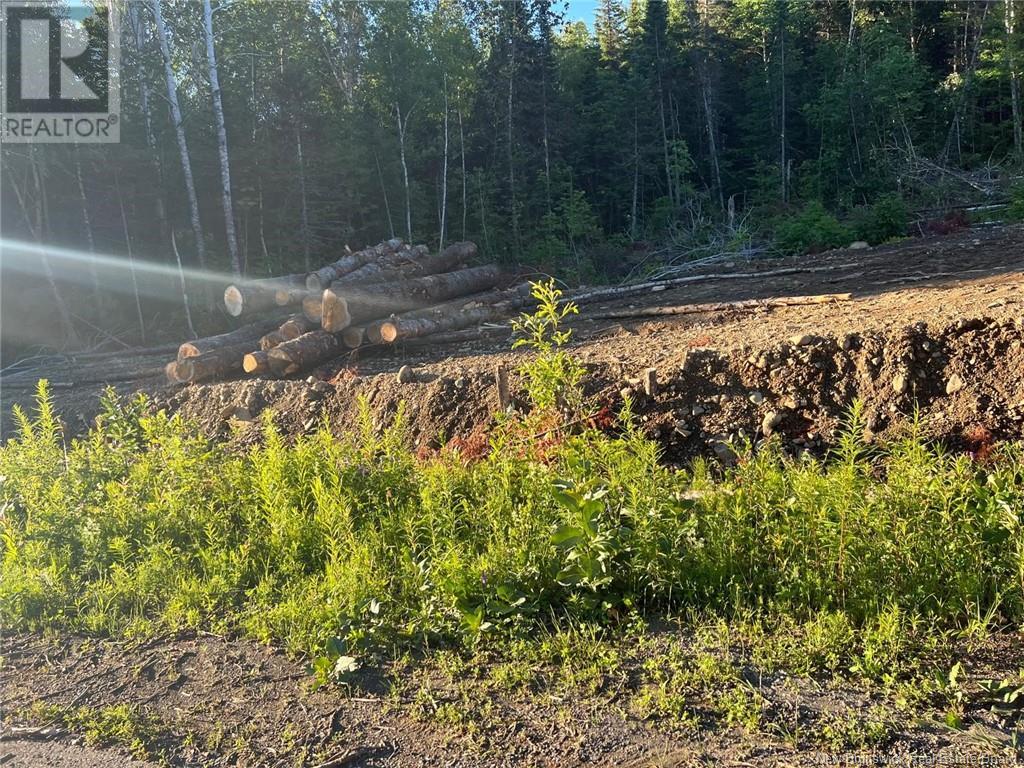 Land in Lower Woodstock 5
