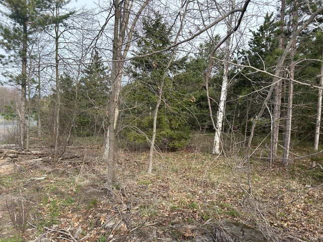 LOT-25 - V/L E Sternberg Road, Home with 0 bedrooms, 0 bathrooms and null parking in Fruitport MI | Image 18