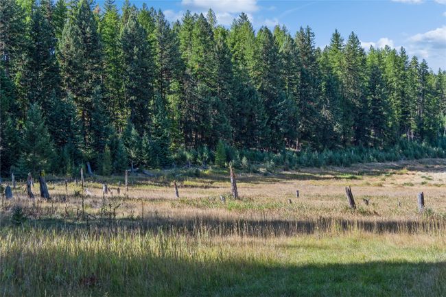3217 Loon Lake Rd, Home with 0 bedrooms, 0 bathrooms and null parking in Trego MT | Image 18