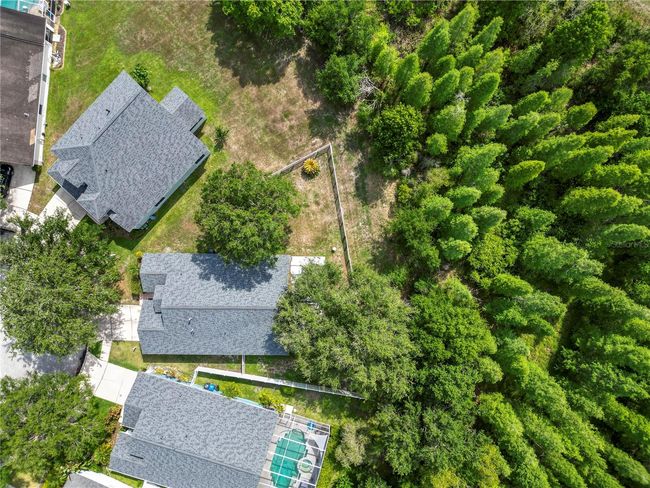 16804 Hawkridge Rd, House other with 4 bedrooms, 2 bathrooms and null parking in Lithia FL | Image 53
