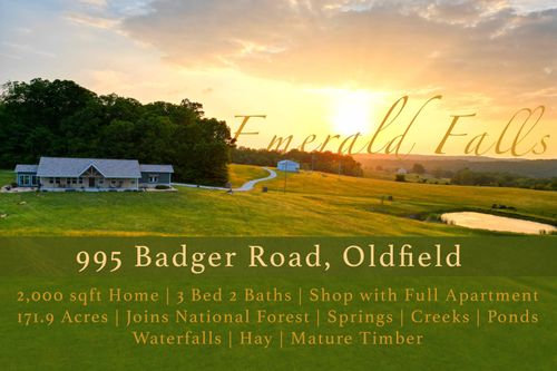 995 Badger Road, Oldfield, MO, 65720 | Card Image