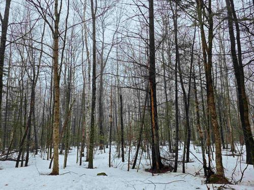 1500 Allard Hill Rd, Lyndonville, VT, 05851 | Card Image