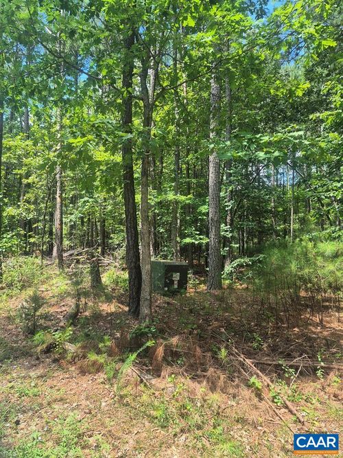 00 Hixburg Rd, Prospect, VA, 23960 | Card Image