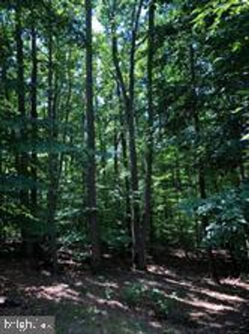 3801 Water Drop Ct, Burtonsville, MD, 20866-2043 | Card Image