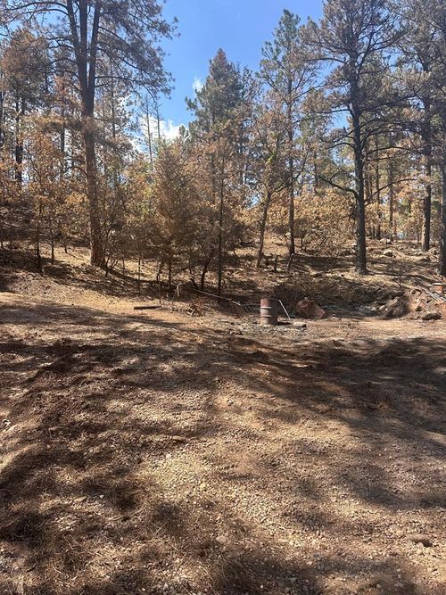 9087 S Pine Dr, Beulah, CO, 81023-9713 | Card Image