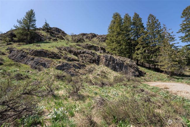 0 Lot 4 Isabella Ln, Home with 0 bedrooms, 0 bathrooms and null parking in Twisp WA | Image 12