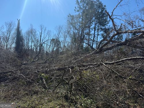 0 Wragler Lane, Hazlehurst, GA, 31539 | Card Image