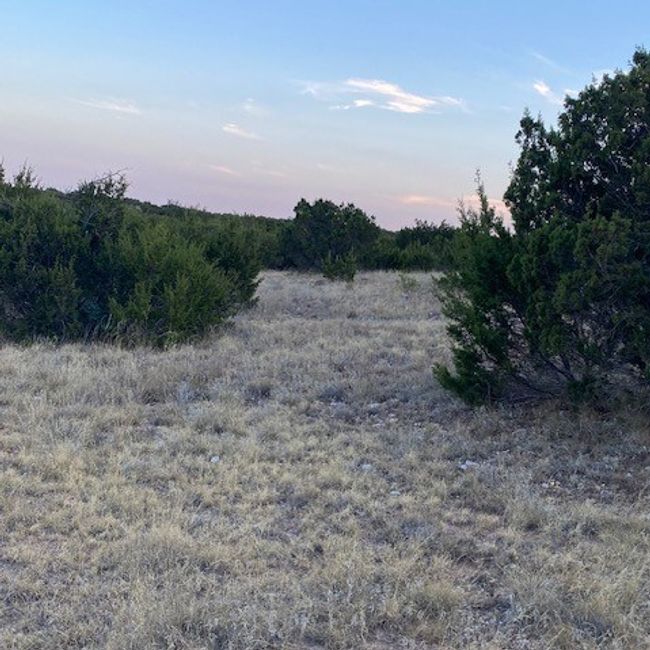 000 Private Rd 3922, Home with 0 bedrooms, 0 bathrooms and null parking in Miles TX | Image 8