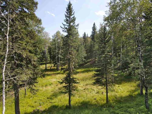 21334 Golden Slope Trail, Deadwood, SD, 57732 | Card Image