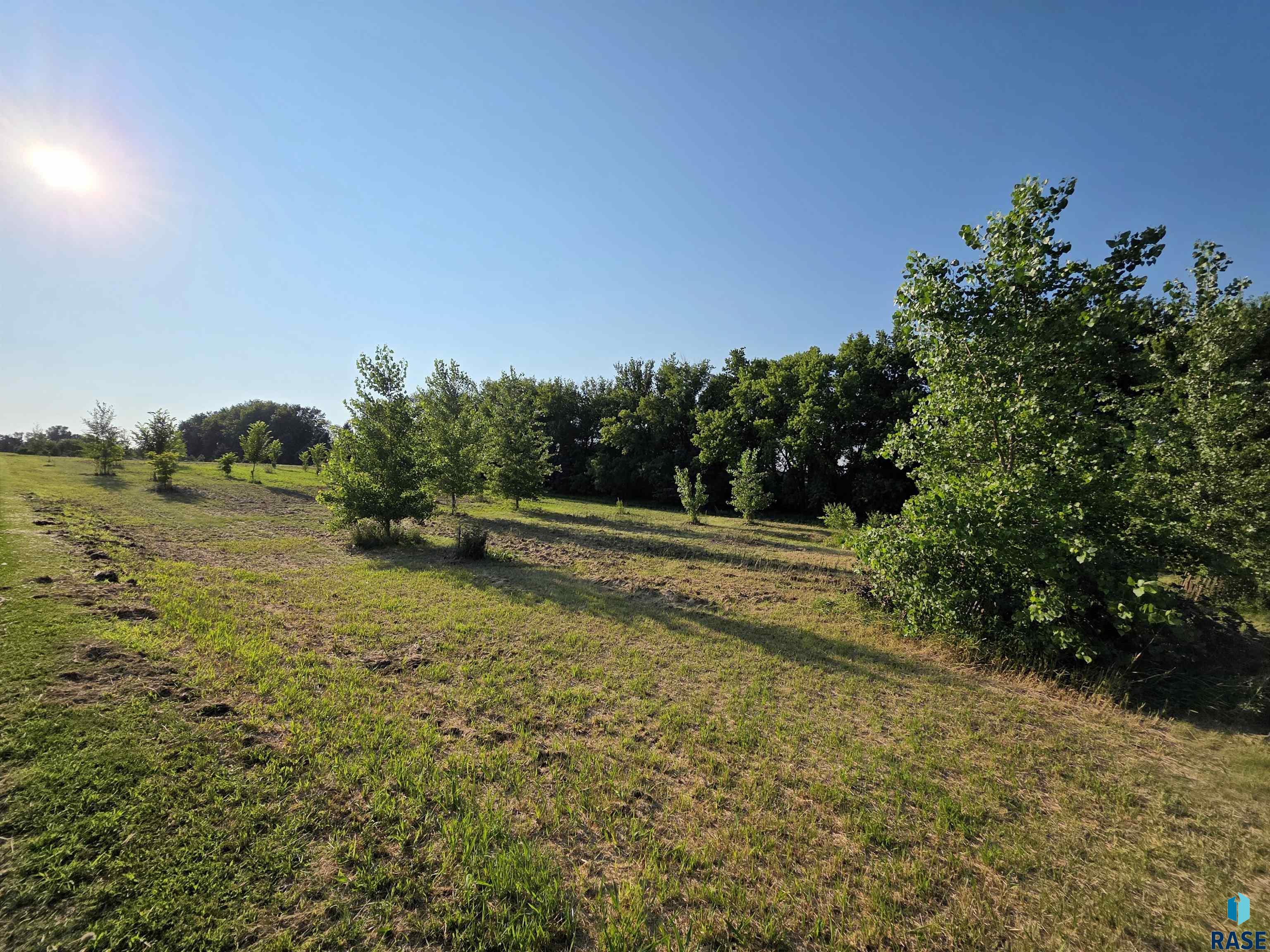 Land in Madison