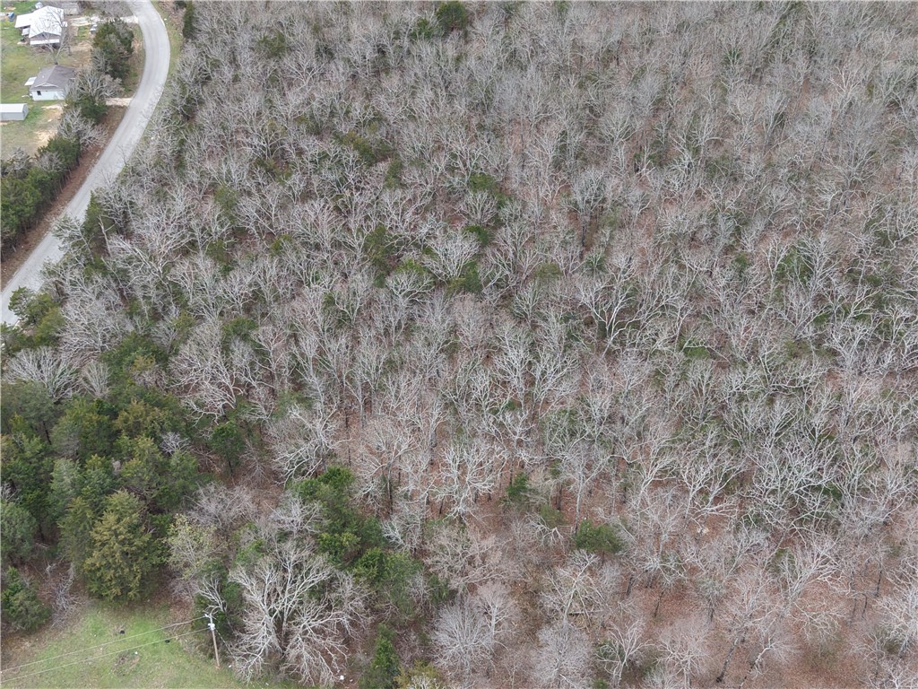 Land in Harrison 4
