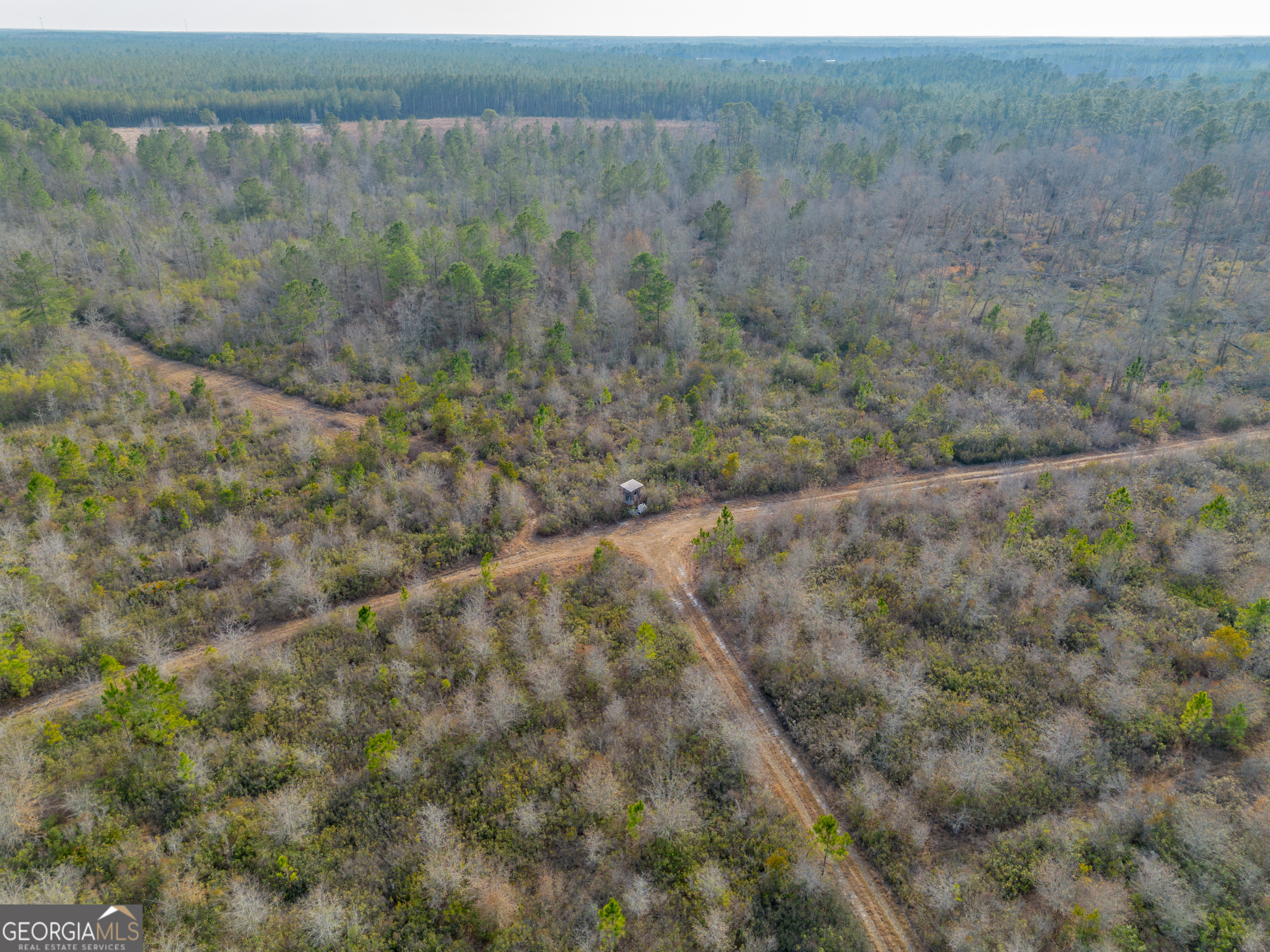 Land in Waycross 2