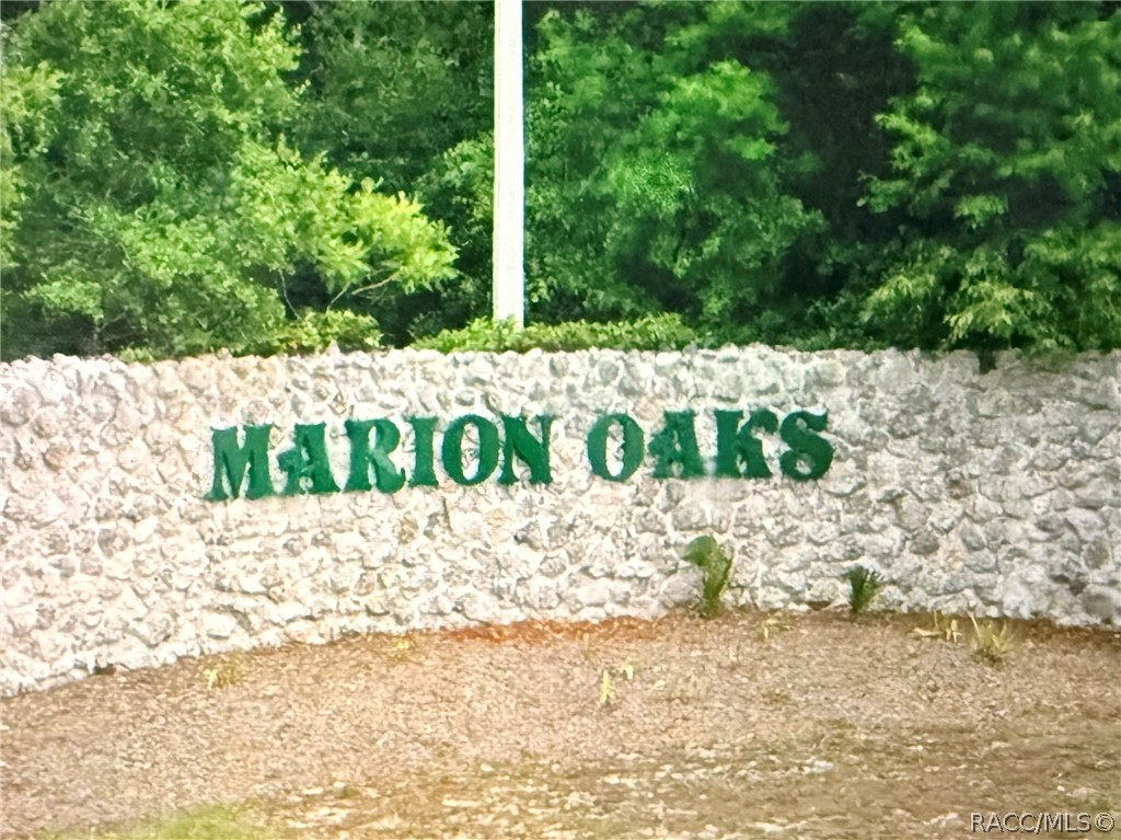 Land in Ocala 3