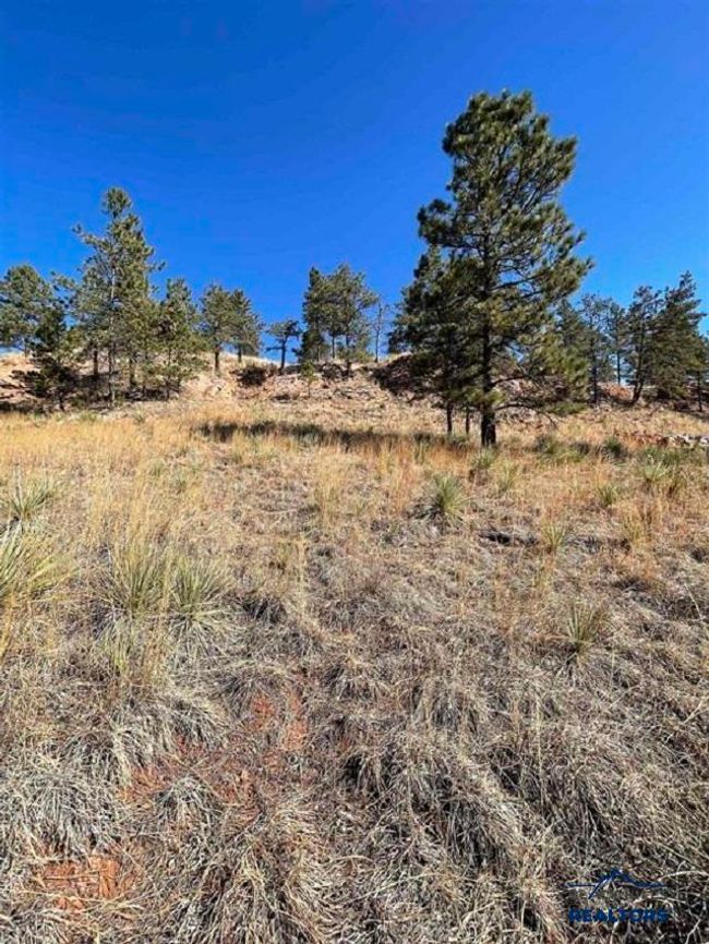 421 Meadowlark Dr, Home with 0 bedrooms, 0 bathrooms and null parking in Hot Springs SD | Image 7
