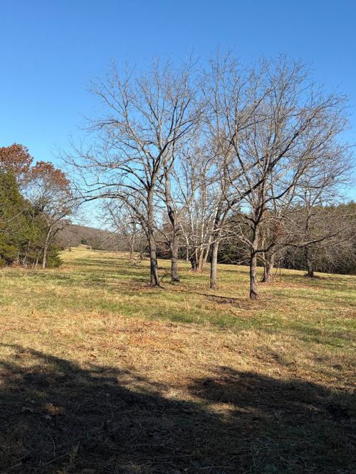 Tbd Se 1251 Road, Weaubleau, MO, 65774 | Card Image