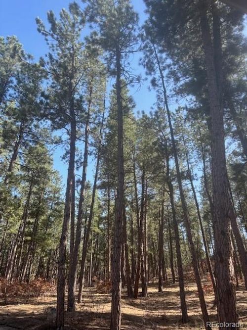 560 Princess Rd, Cripple Creek, CO, 80813-8502 | Card Image