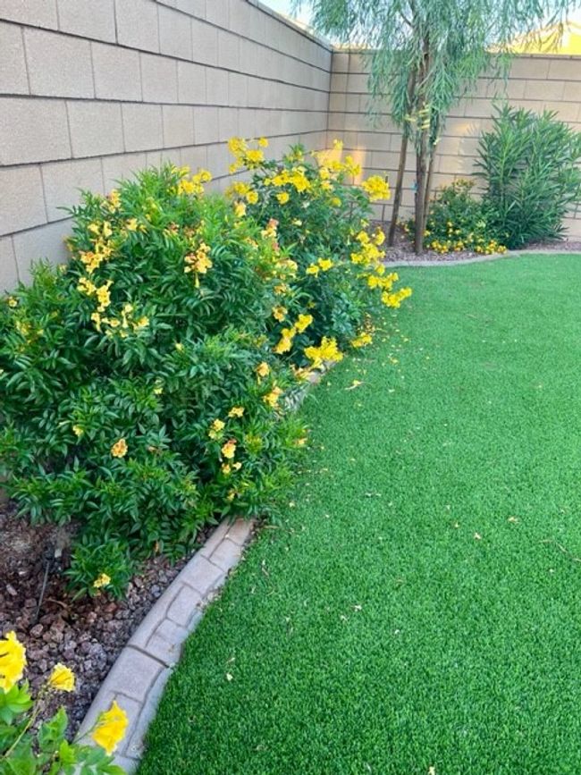 Yard | Image 64