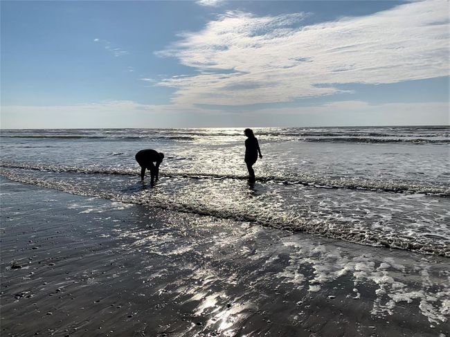 Searching for shells is a great way to start the day | Image 5