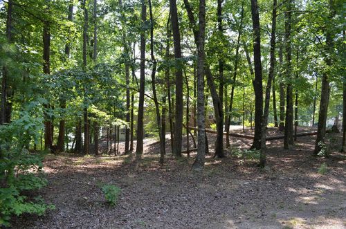 1 Sacedon Cir, Hot Springs Village, AR, 71909-7424 | Card Image