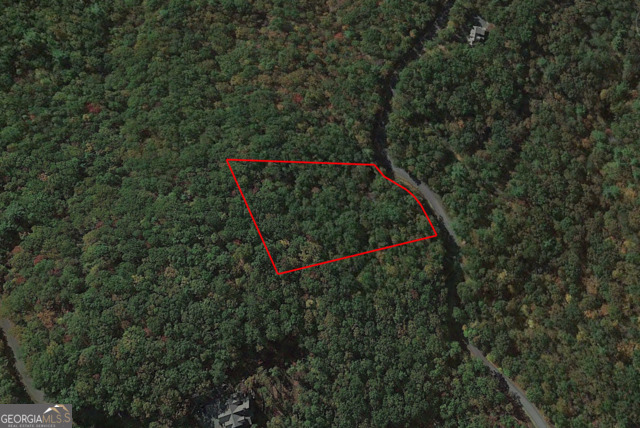 Land in Ellijay 5
