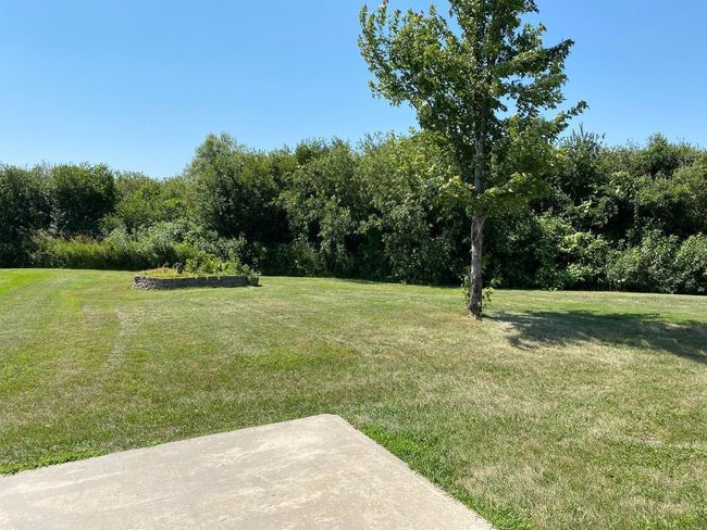 Backyard | Image 10
