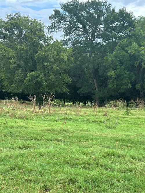 TBD Abel Ln, Boyd, TX, 76023 | Card Image