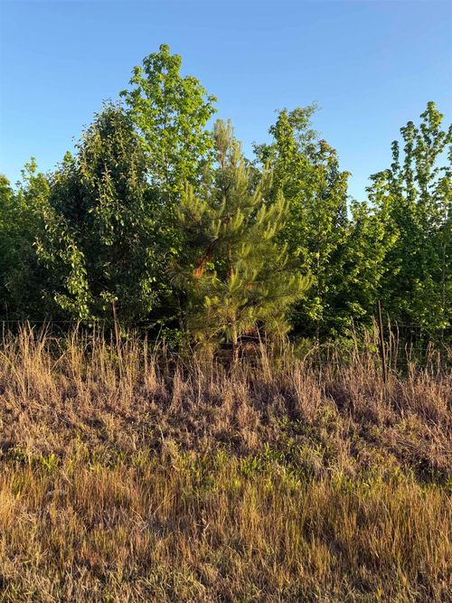 00 County Rd, Florence, AL, 35633 | Card Image