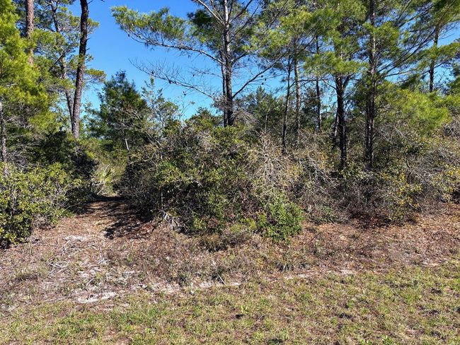 1706 Landing St, Home with 0 bedrooms, 0 bathrooms and null parking in Carrabelle FL | Image 10