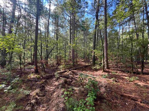 South Tract Grant County Road 68, Sheridan, AR, 72150 | Card Image