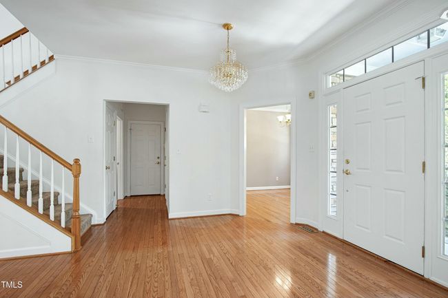 Photo #7 | Image 7
