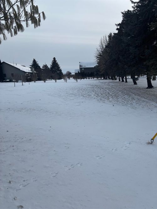 2135 E Pickard Rd, Mount Pleasant, MI, 48858-6012 | Card Image