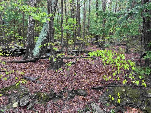 Lot 2 Wellington Hill Rd W, Westminster W, VT, 05346-8569 | Card Image