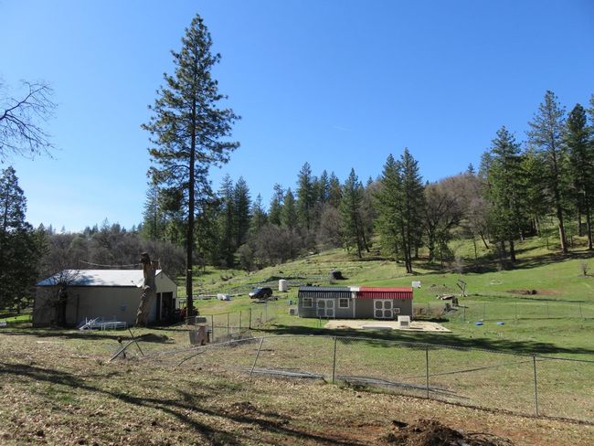 4196 Bald Mountain Rd, Home with 0 bedrooms, 0 bathrooms and null parking in West Point CA | Image 47