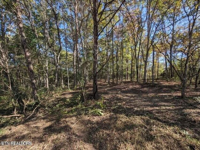 239 Sewell Dr, Home with 0 bedrooms, 0 bathrooms and null parking in Allardt TN | Image 10