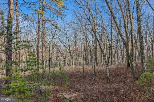 Lot 38 Breakeven Ln, BERKELEY SPRINGS, WV, 25411 | Card Image