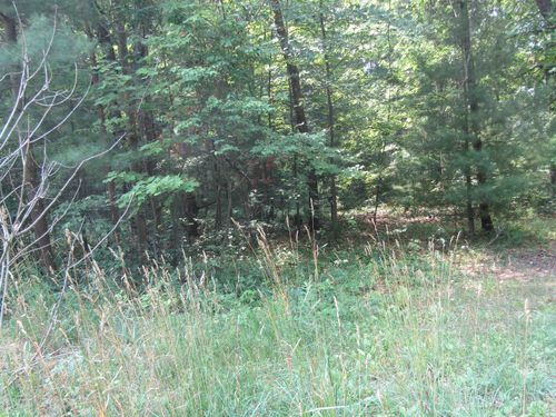 00_VL George Street, Mills Township, MI, 48756 | Card Image