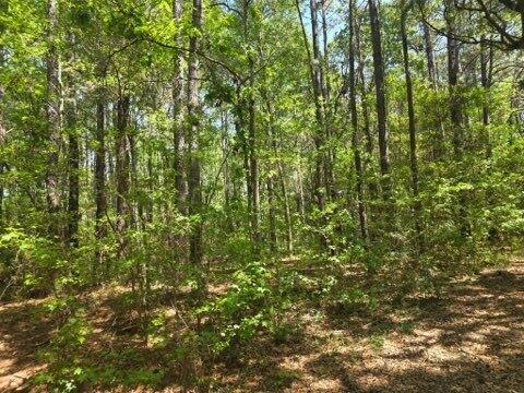 Land in Wadmalaw Island 4