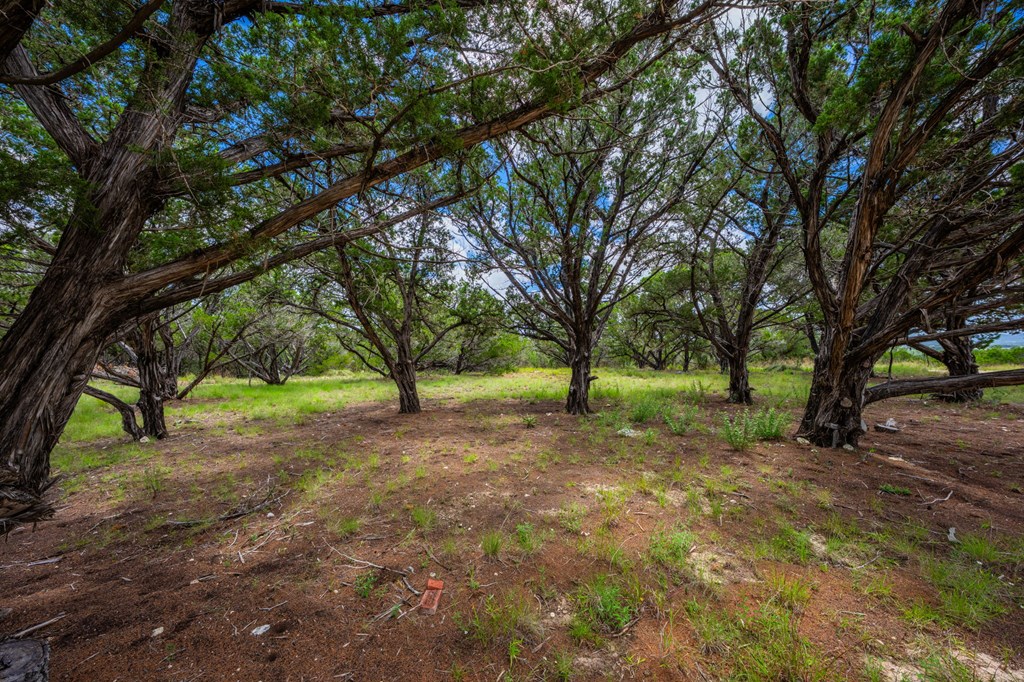 Land in Bandera 5